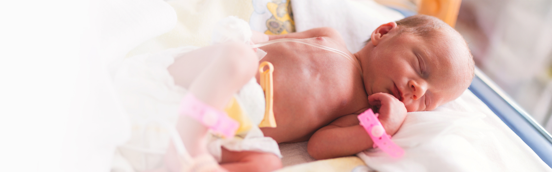 Elternschule – gemeinsam sicher im Alltag